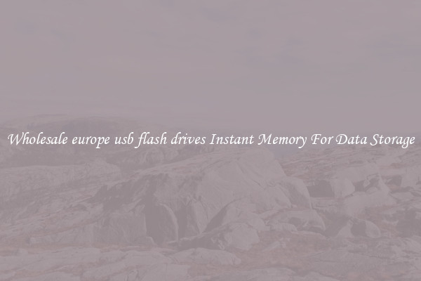 Wholesale europe usb flash drives Instant Memory For Data Storage