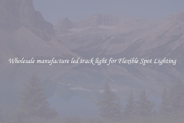 Wholesale manufacture led track light for Flexible Spot Lighting