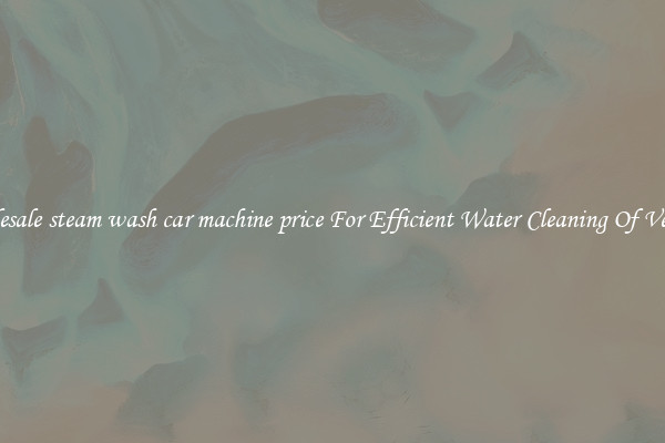 Wholesale steam wash car machine price For Efficient Water Cleaning Of Vehicles