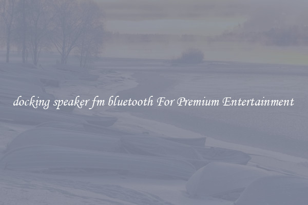 docking speaker fm bluetooth For Premium Entertainment 