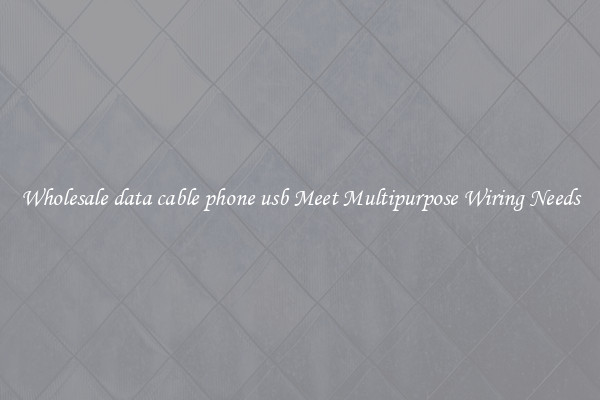 Wholesale data cable phone usb Meet Multipurpose Wiring Needs