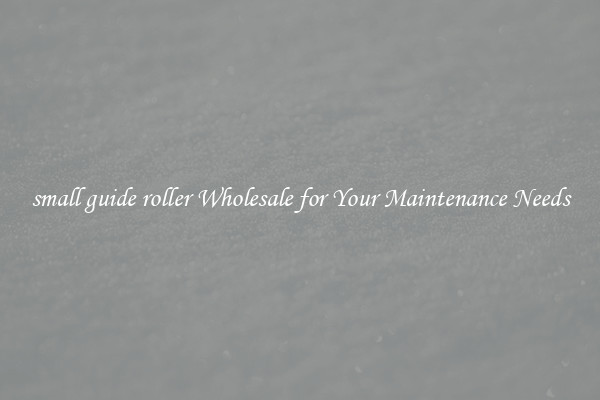 small guide roller Wholesale for Your Maintenance Needs