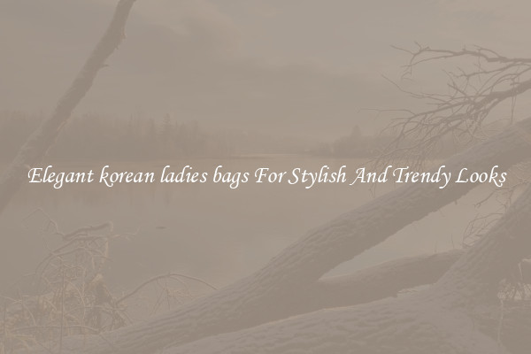 Elegant korean ladies bags For Stylish And Trendy Looks