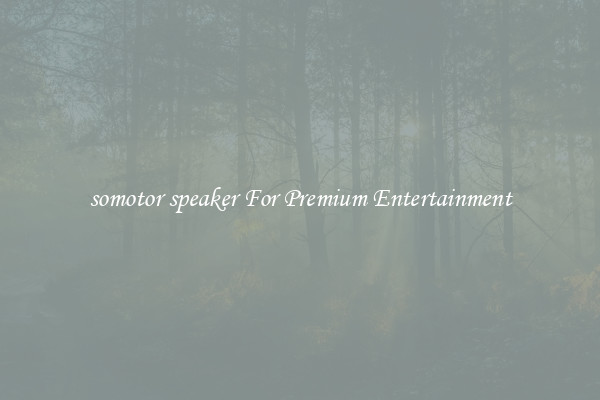somotor speaker For Premium Entertainment