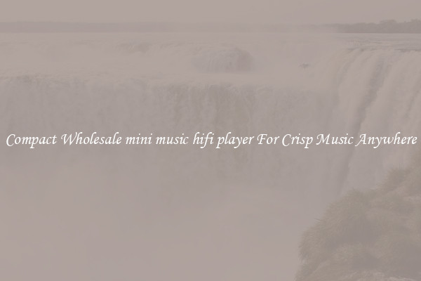 Compact Wholesale mini music hifi player For Crisp Music Anywhere