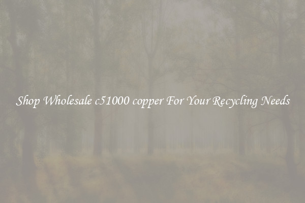 Shop Wholesale c51000 copper For Your Recycling Needs