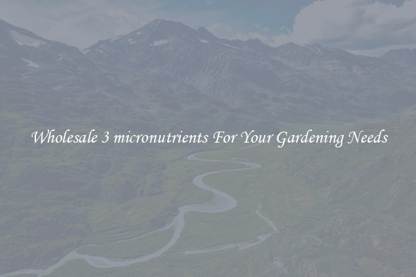 Wholesale 3 micronutrients For Your Gardening Needs