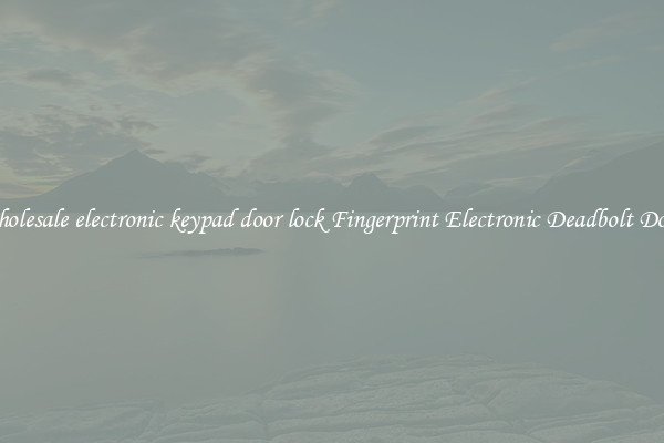 Wholesale electronic keypad door lock Fingerprint Electronic Deadbolt Door 