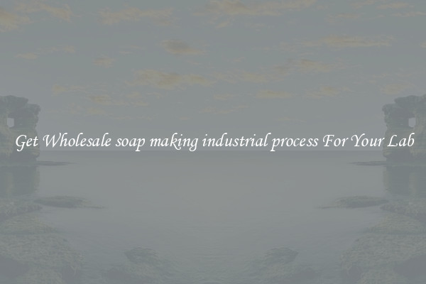 Get Wholesale soap making industrial process For Your Lab