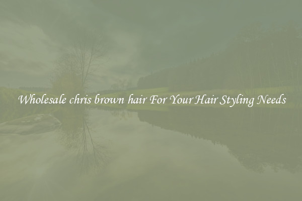 Wholesale chris brown hair For Your Hair Styling Needs