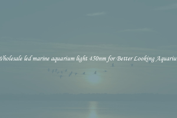 Wholesale led marine aquarium light 450nm for Better Looking Aquarium