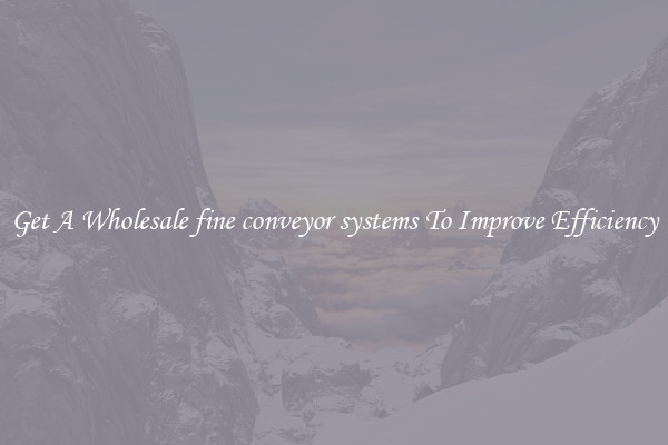 Get A Wholesale fine conveyor systems To Improve Efficiency