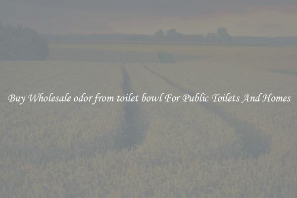 Buy Wholesale odor from toilet bowl For Public Toilets And Homes