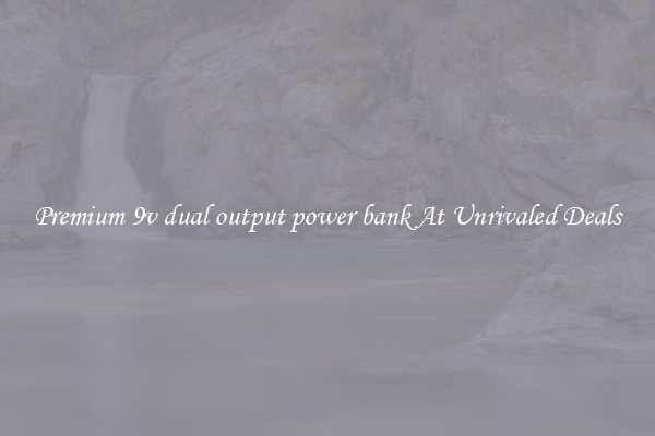 Premium 9v dual output power bank At Unrivaled Deals